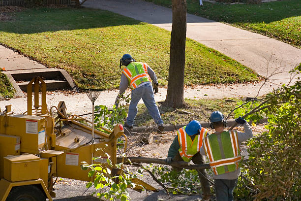 Leaf Removal in Stonybrook, PA